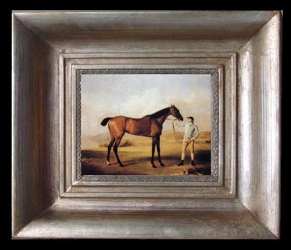 framed  George Stubbs Molly Longlegs with Jockey, Ta077-2